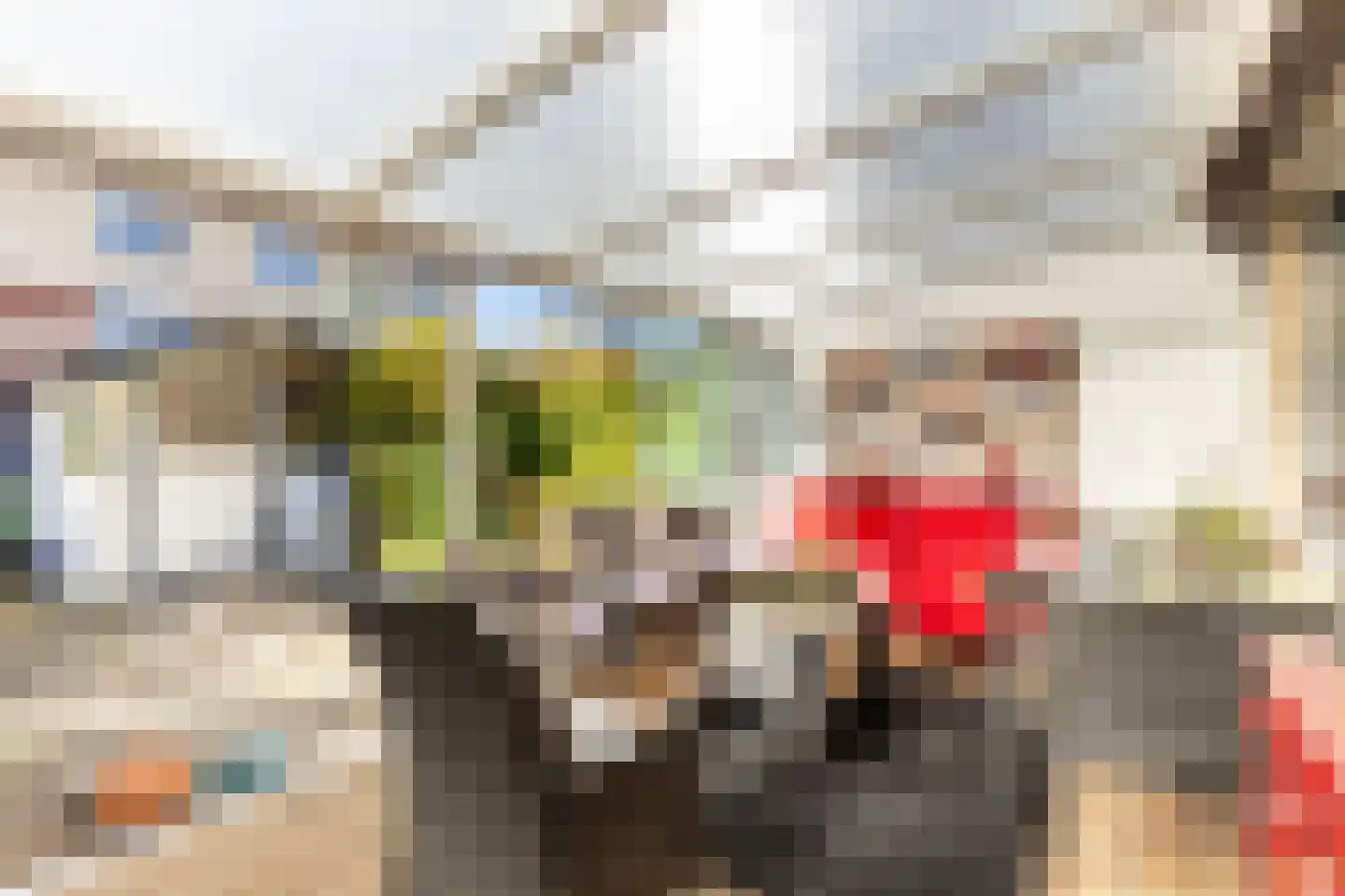 Kleine Vos 10 's-Gravendeel thumbnail 12