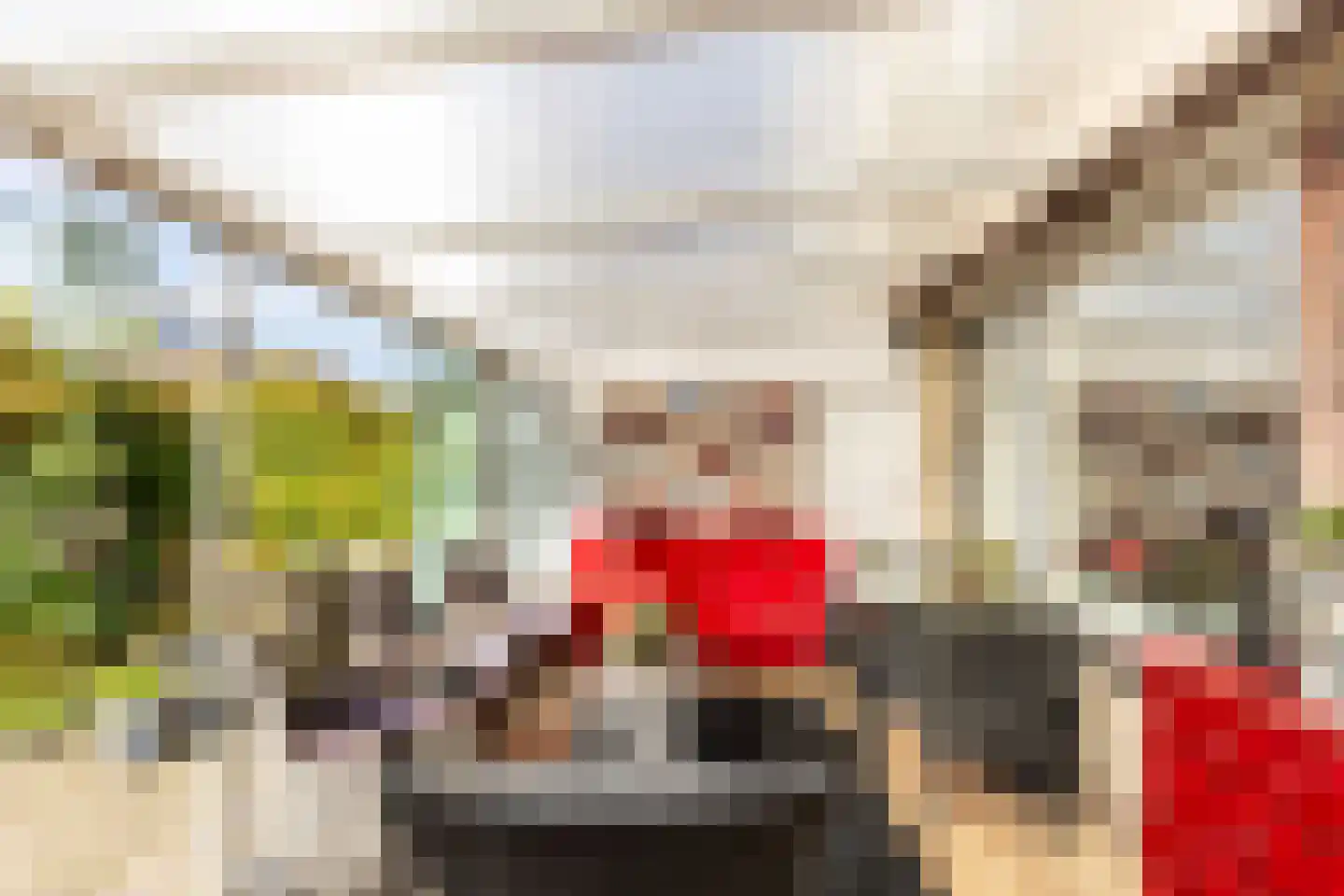 Kleine Vos 10 's-Gravendeel thumbnail 13