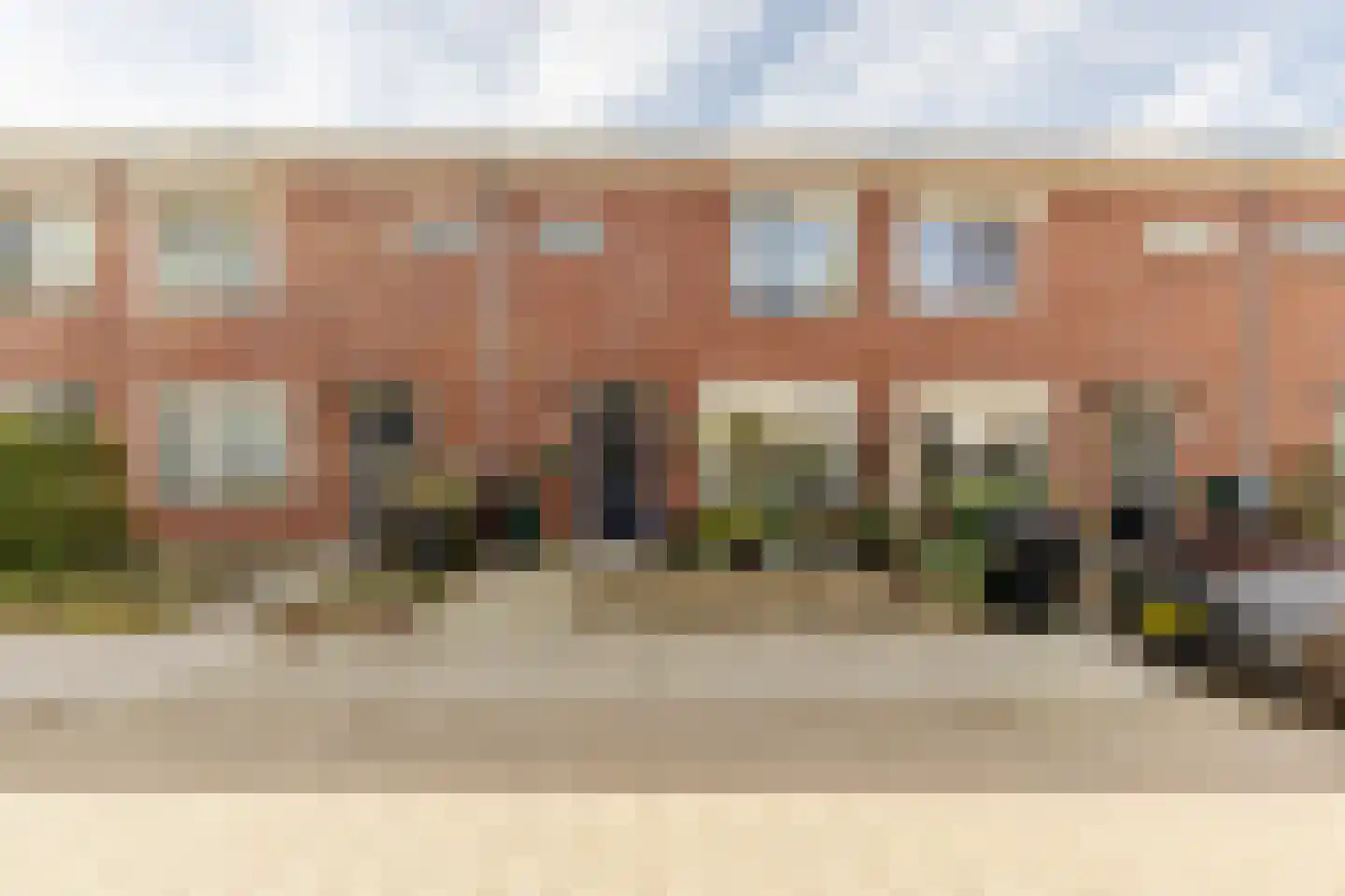 Kleine Vos 10 's-Gravendeel thumbnail 22