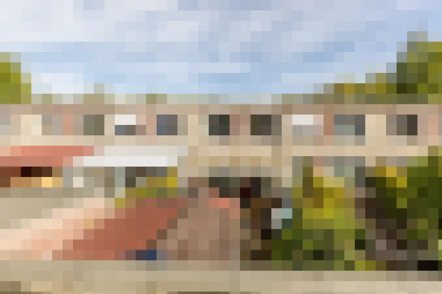 Kleine Vos 10 's-Gravendeel thumbnail 25