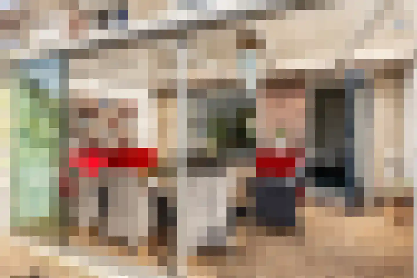 Kleine Vos 10 's-Gravendeel thumbnail 27