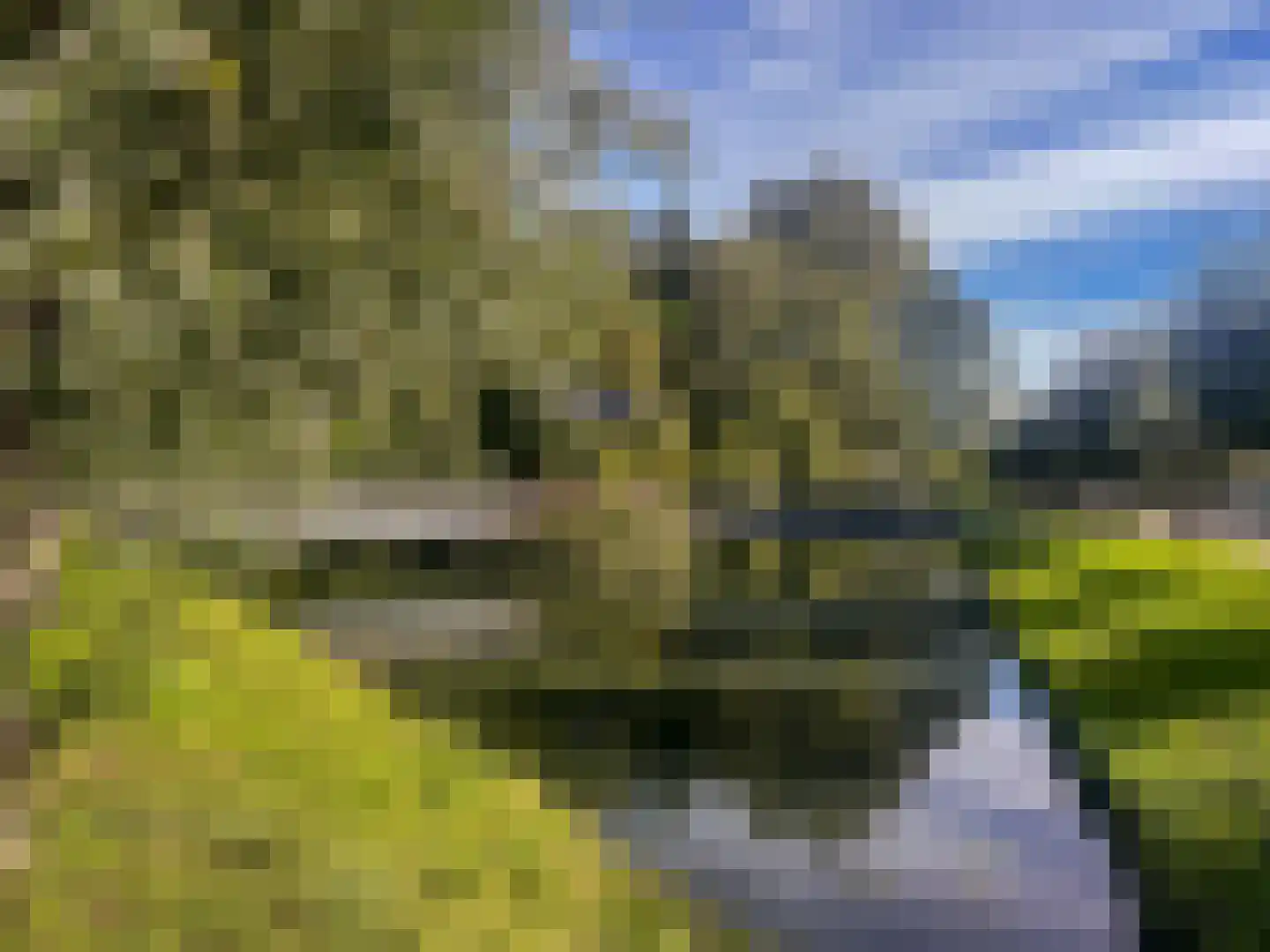 Kleine Vos 10 's-Gravendeel thumbnail 29