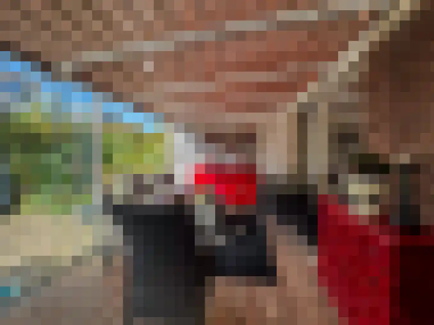 Kleine Vos 10 's-Gravendeel thumbnail 4