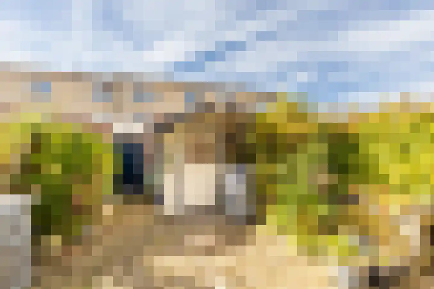 Kleine Vos 10 's-Gravendeel thumbnail 5