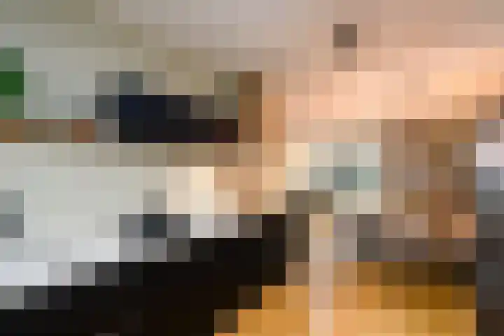 Kleine vos 10 Wolvega thumbnail 10