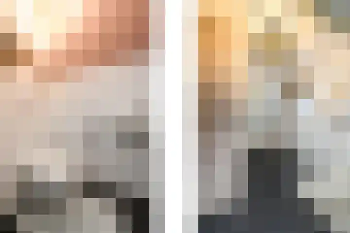 Kleine vos 10 Wolvega thumbnail 11