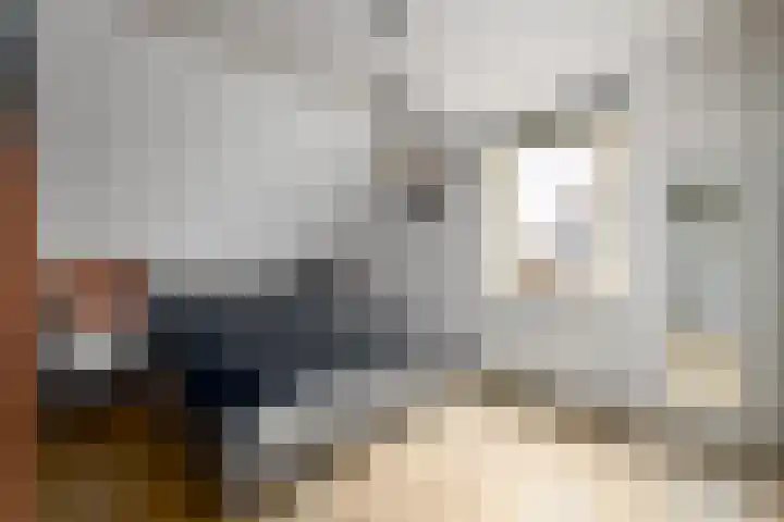 Kleine vos 10 Wolvega thumbnail 12