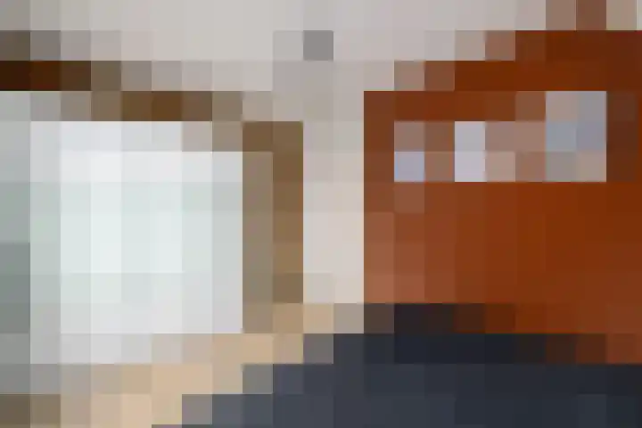 Kleine vos 10 Wolvega thumbnail 13