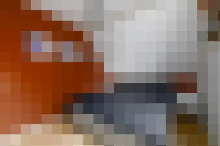 Kleine vos 10 Wolvega thumbnail 14