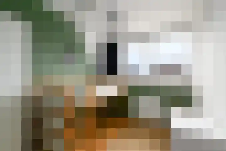 Kleine vos 10 Wolvega thumbnail 15