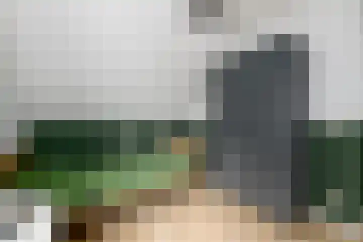 Kleine vos 10 Wolvega thumbnail 19