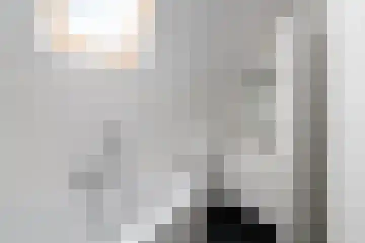 Kleine vos 10 Wolvega thumbnail 20