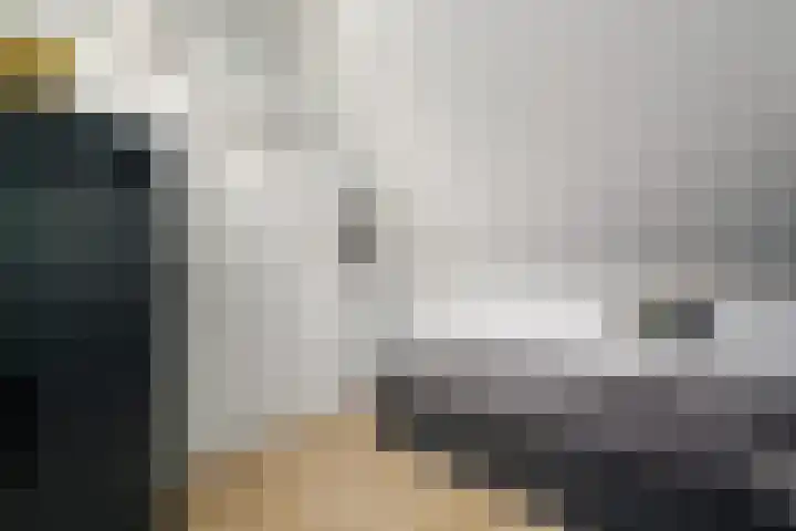 Kleine vos 10 Wolvega thumbnail 26