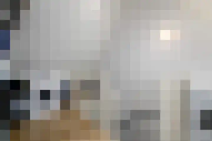 Kleine vos 10 Wolvega thumbnail 27