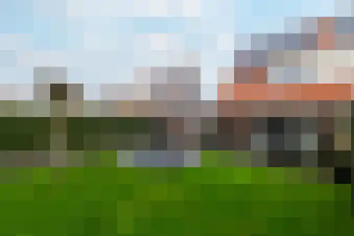 Kleine vos 10 Wolvega thumbnail 29