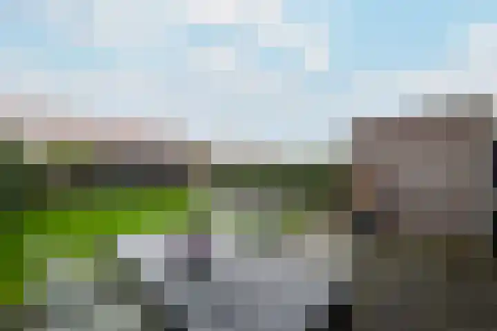 Kleine vos 10 Wolvega thumbnail 30
