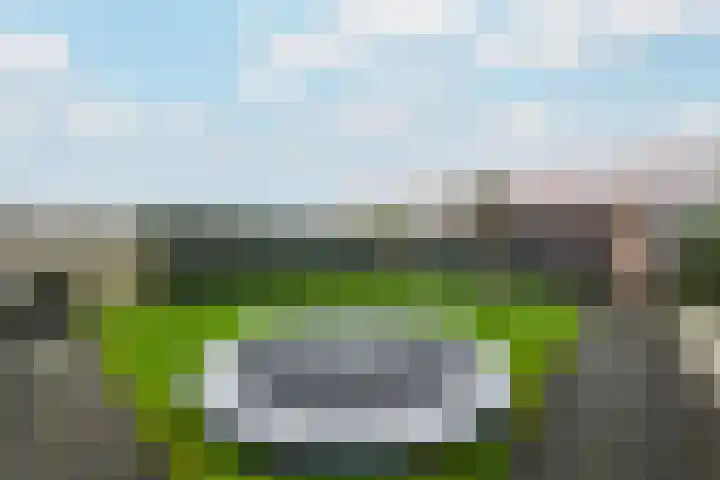 Kleine vos 10 Wolvega thumbnail 31