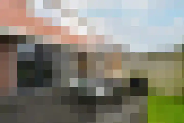 Kleine vos 10 Wolvega thumbnail 32