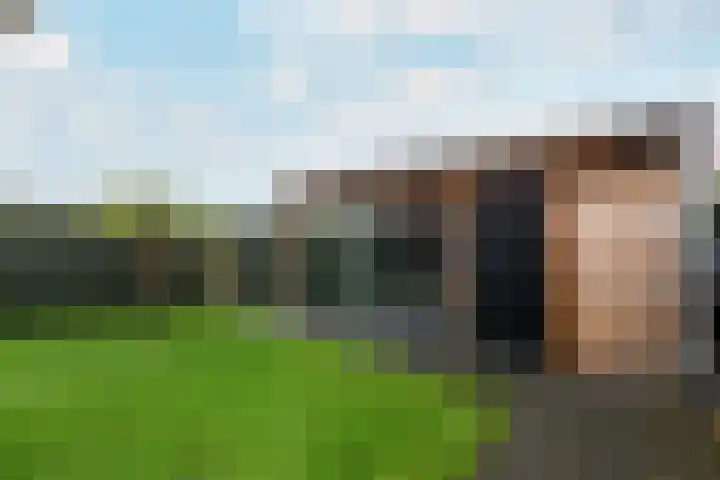 Kleine vos 10 Wolvega thumbnail 33