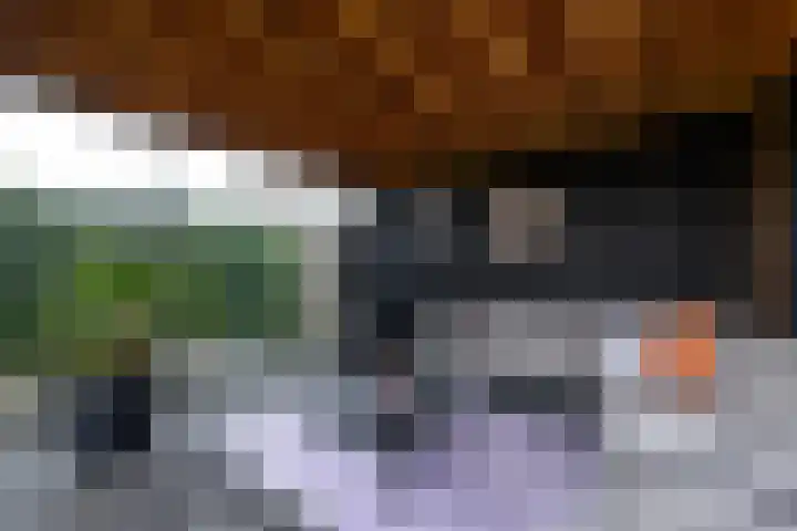 Kleine vos 10 Wolvega thumbnail 34