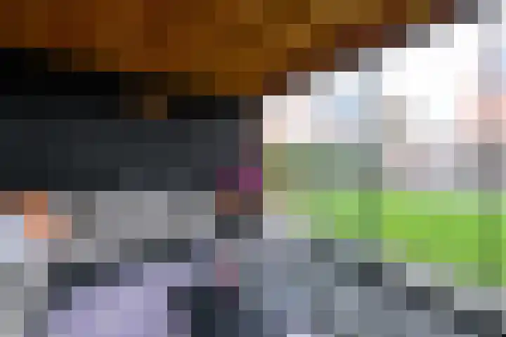 Kleine vos 10 Wolvega thumbnail 35