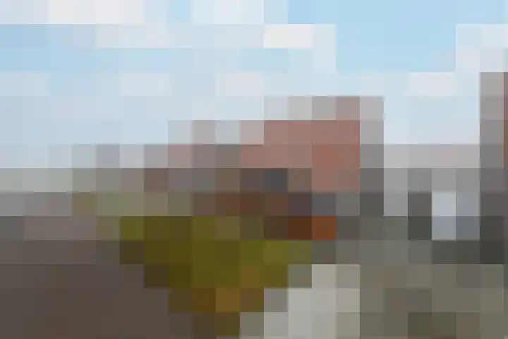 Kleine vos 10 Wolvega thumbnail 36