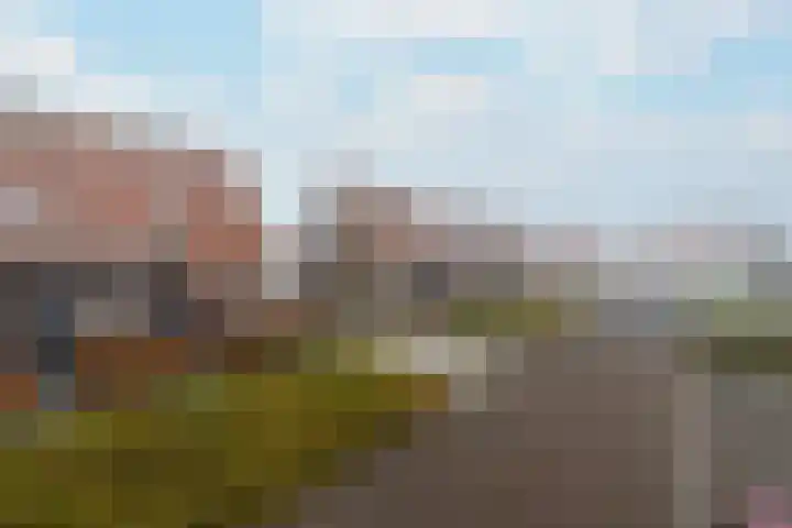 Kleine vos 10 Wolvega thumbnail 37