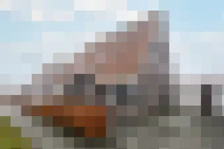 Kleine vos 10 Wolvega thumbnail 38