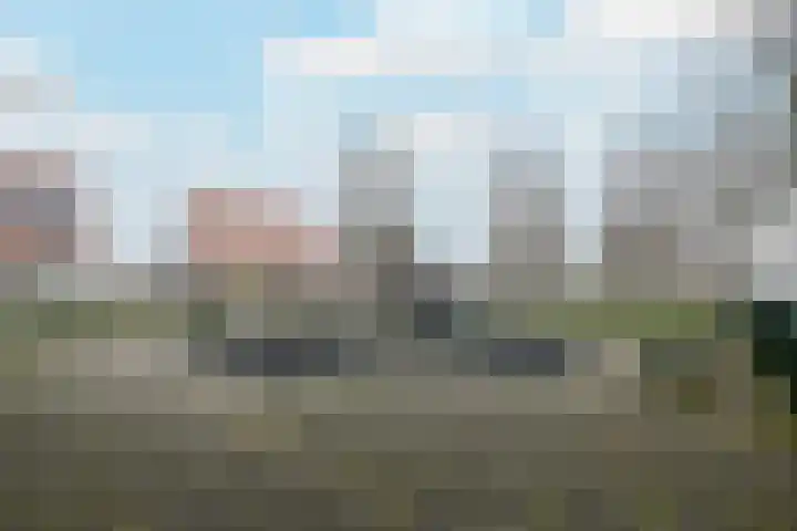 Kleine vos 10 Wolvega thumbnail 39