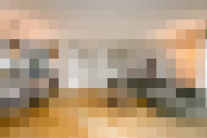 Kleine vos 10 Wolvega thumbnail 4