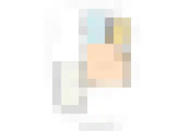 Kleine vos 10 Wolvega thumbnail 40