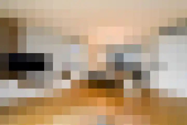 Kleine vos 10 Wolvega thumbnail 5