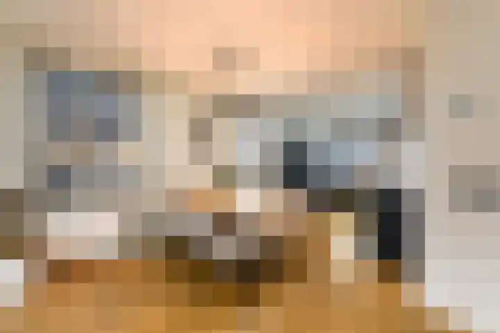 Kleine vos 10 Wolvega thumbnail 6