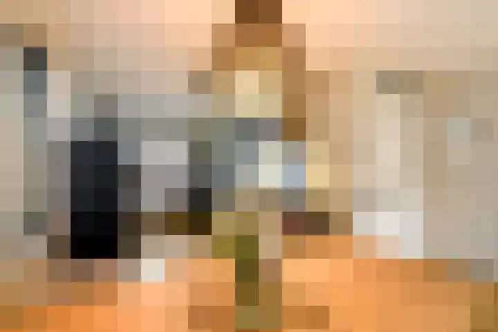 Kleine vos 10 Wolvega thumbnail 7