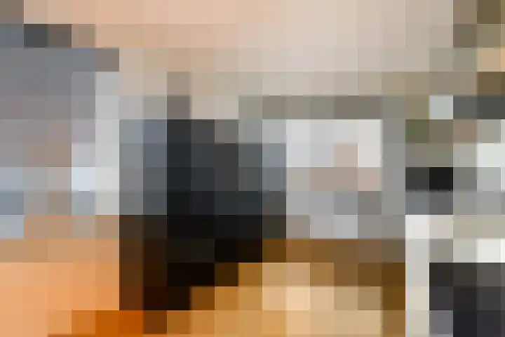 Kleine vos 10 Wolvega thumbnail 8