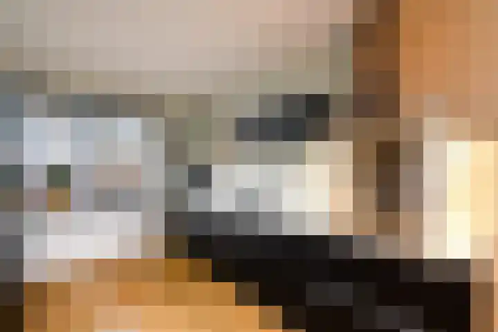 Kleine vos 10 Wolvega thumbnail 9