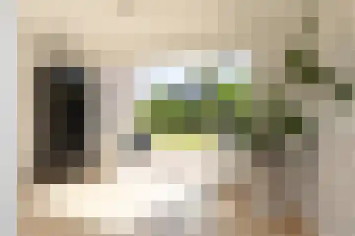 Kleine vos 11 Sneek thumbnail 10