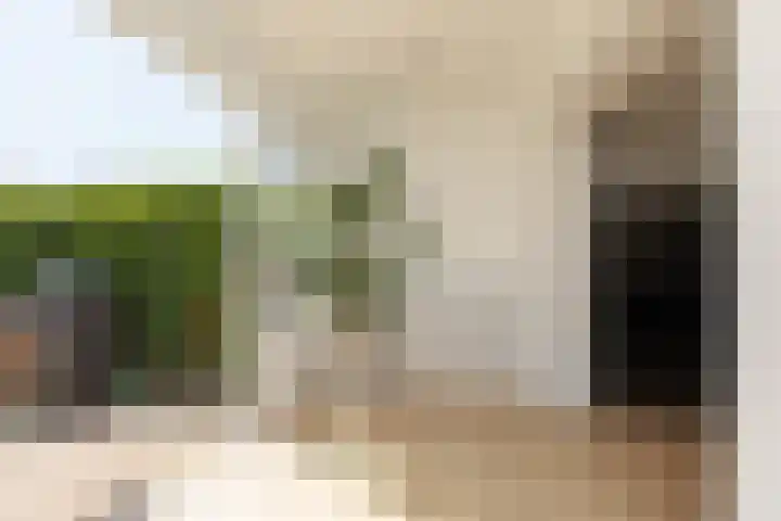 Kleine vos 11 Sneek thumbnail 11