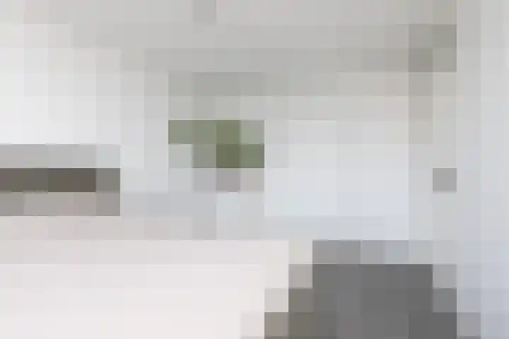 Kleine vos 11 Sneek thumbnail 16