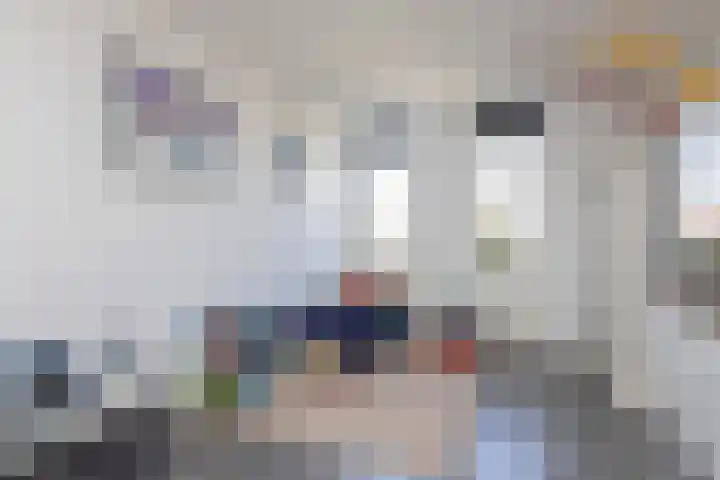 Kleine vos 11 Sneek thumbnail 17