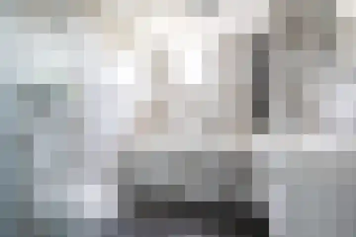 Kleine vos 11 Sneek thumbnail 19