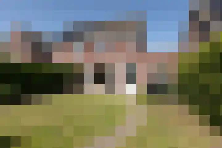Kleine vos 11 Sneek foto 2