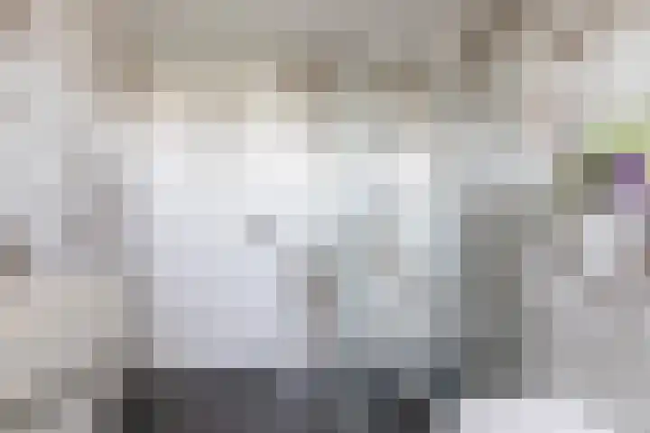 Kleine vos 11 Sneek thumbnail 21