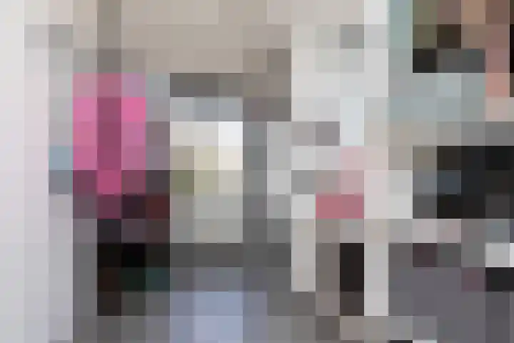 Kleine vos 11 Sneek thumbnail 22