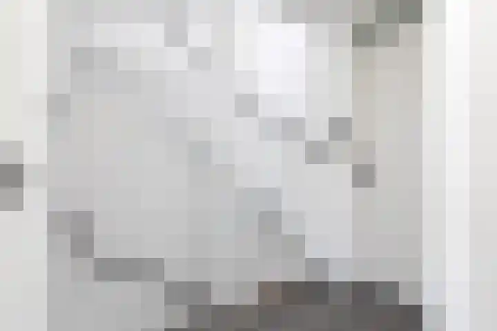 Kleine vos 11 Sneek thumbnail 24