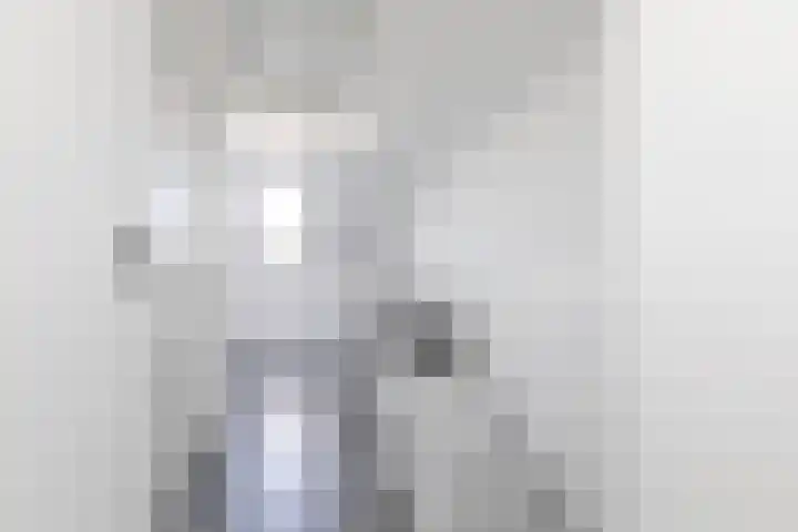 Kleine vos 11 Sneek thumbnail 25