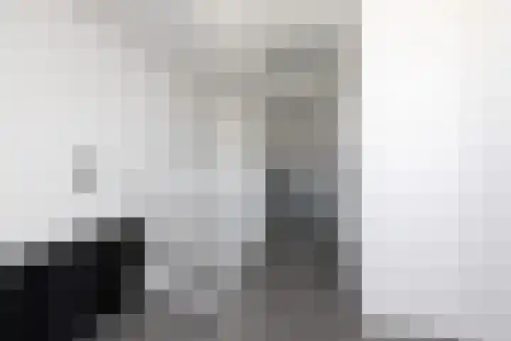 Kleine vos 11 Sneek thumbnail 26
