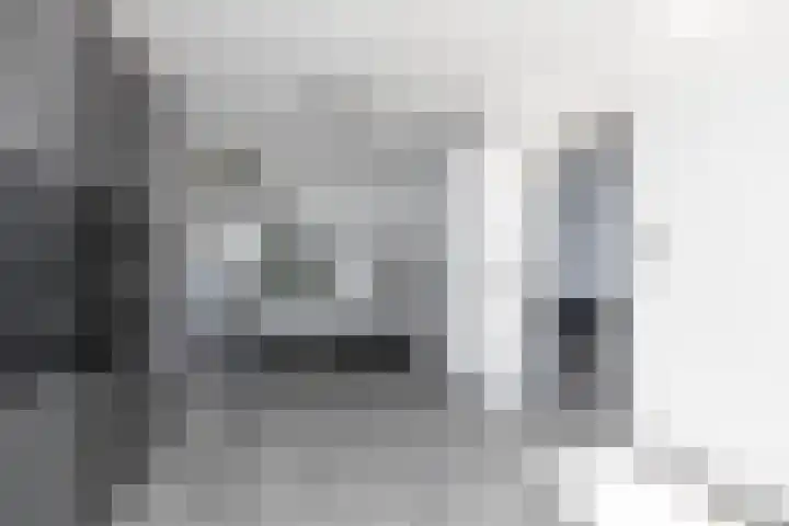 Kleine vos 11 Sneek thumbnail 27