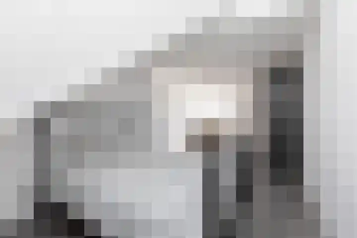 Kleine vos 11 Sneek thumbnail 28