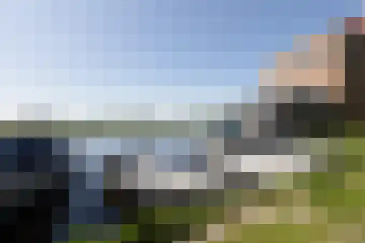 Kleine vos 11 Sneek foto 3